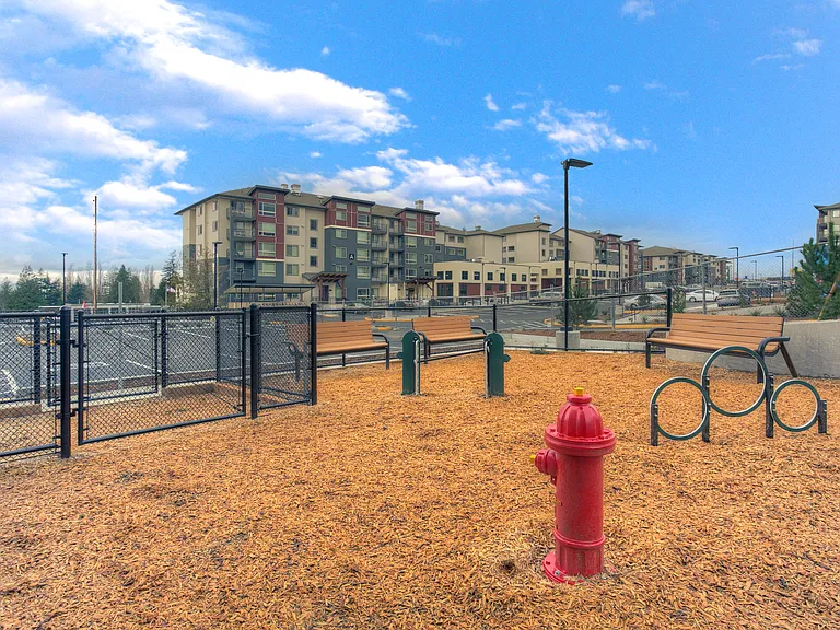 Waterview Crossing Apartments — Photo 27