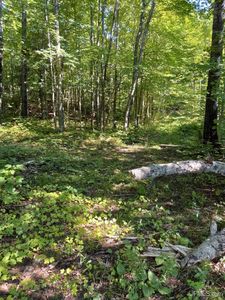 Sec 2 Lost Creek Rd, Big Bay, MI, 49808