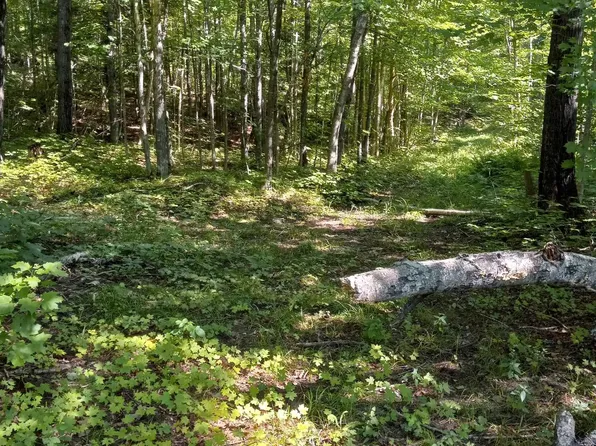 Sec 2 Lost Creek Rd, Big Bay, MI 49808