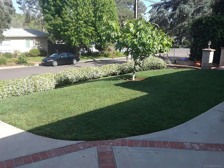 510 Tarento Dr — Photo 19