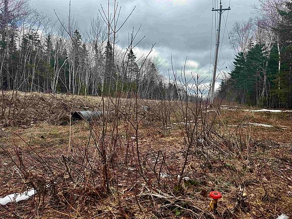 3rd image of Basin Rd