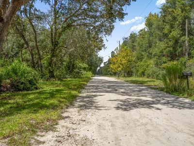 336 SE 195th Ave, Old Town, FL, 32680