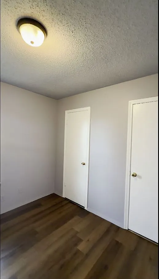 1509 Hardwood Grove Street - 1 — Photo 4