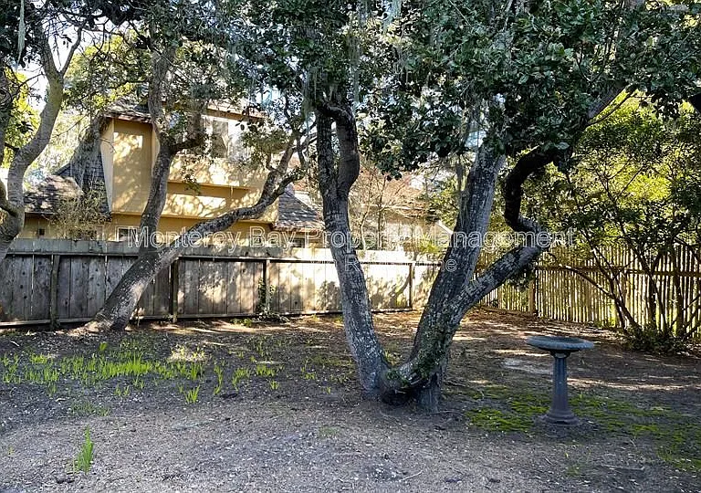 2935 Alta Ave — Photo 19