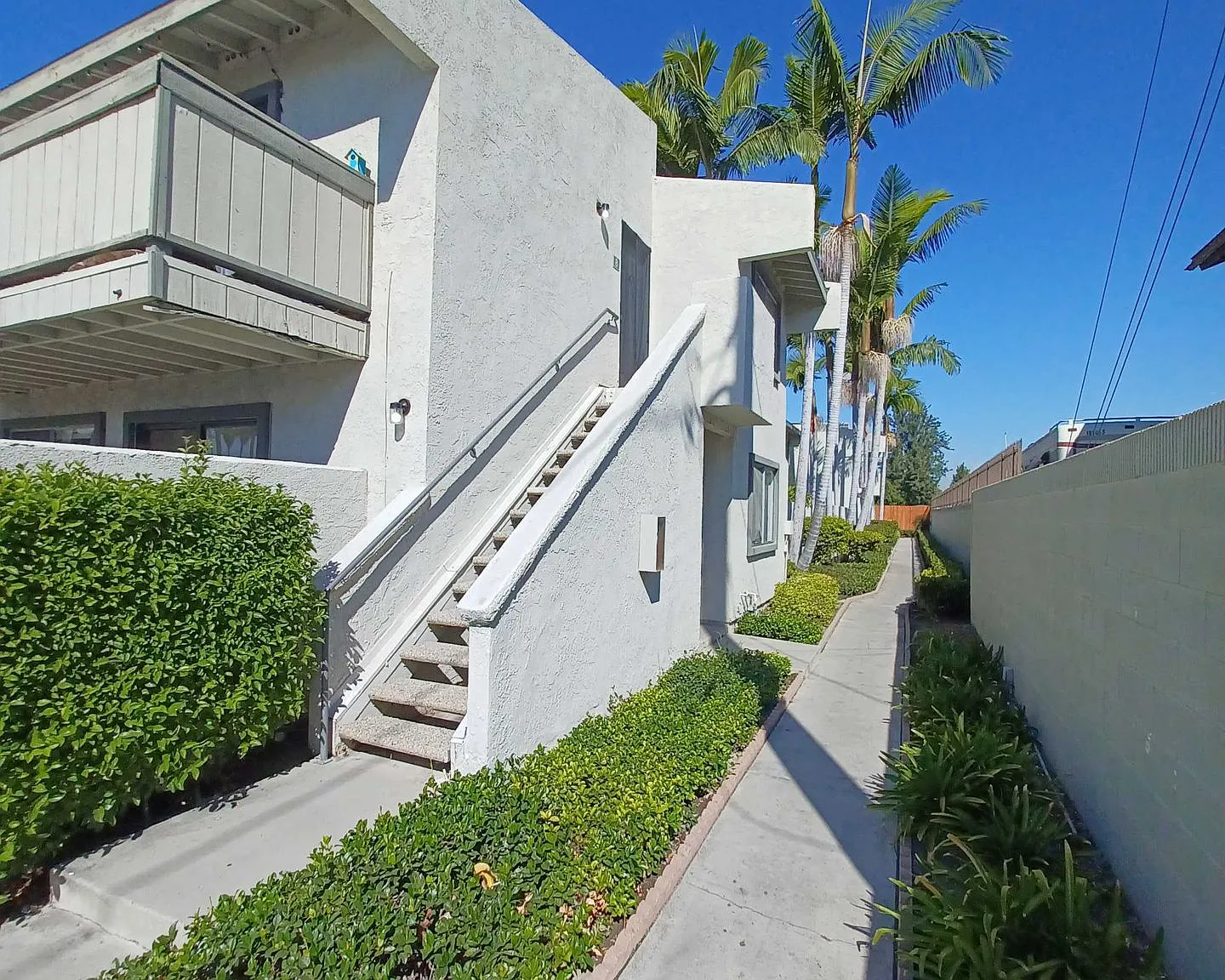 The Palms — Photo 4