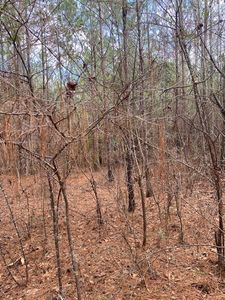 0 Mitchell Rd, Opelika, AL, 36804