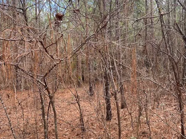 0 Mitchell Rd, Opelika, AL 36804