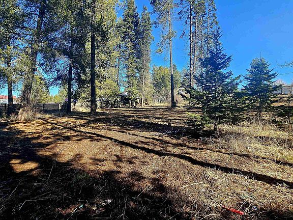 4th image of 92 Rouleau Loop