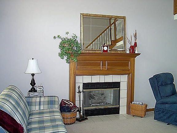 Great Room gas log FP