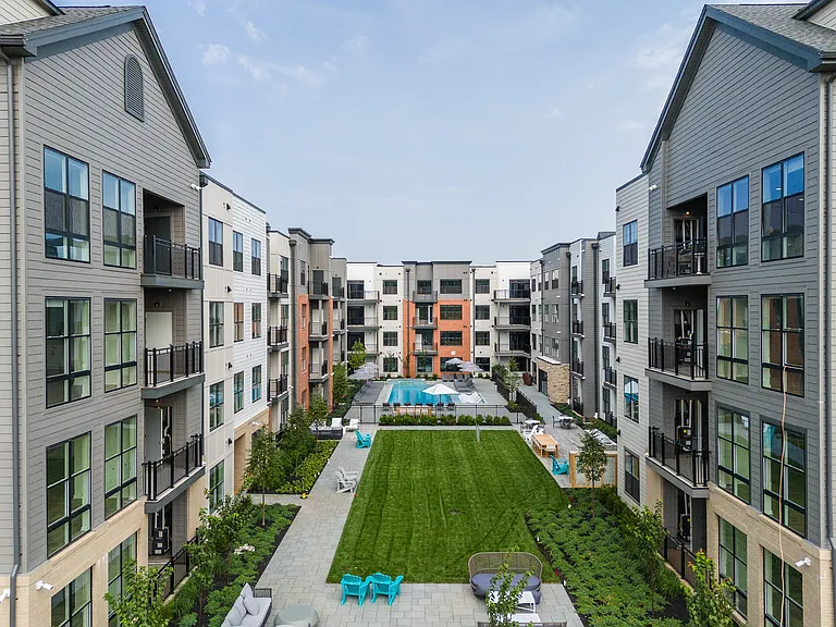 Aster Grove — Photo 66