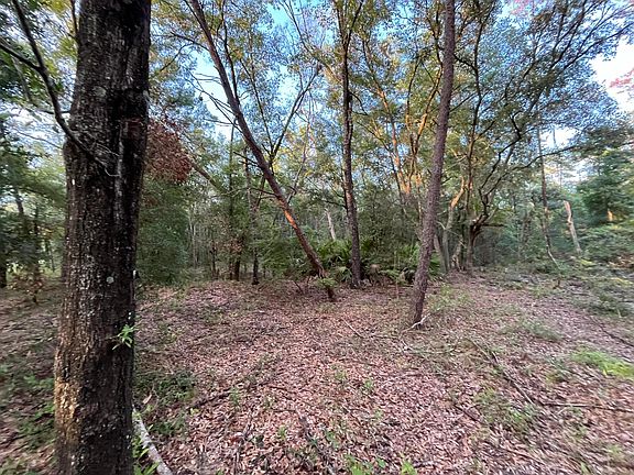 5th image of Tbd Twin Lakes Road