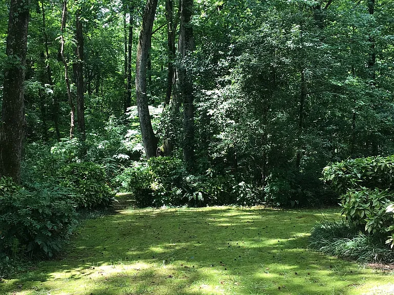 310 Milesford Ct — Photo 30