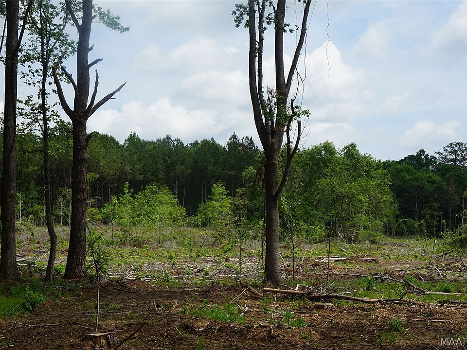 2nd image of 1300 Jackson Griswold Rd
