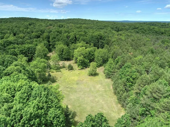 Miller Rd, Thompsonville, MI 49683