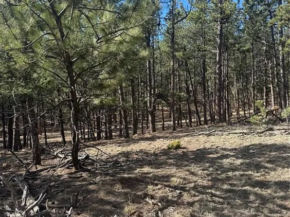 642 Matterhorn Dr, Florissant, CO 80816
