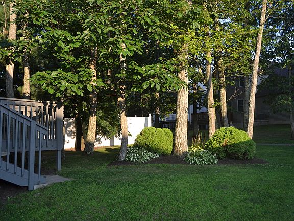 Backyard.1