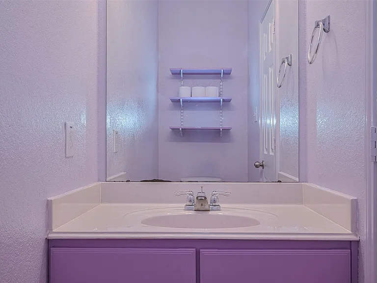 5003 Forest Moss Ct — Photo 26