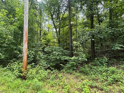 0 Cedar Dr, Buchanan, TN, 38222