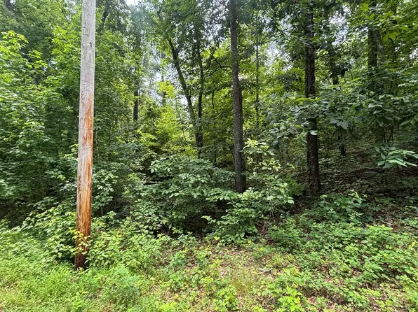 0 Cedar Dr, Buchanan, TN 38222