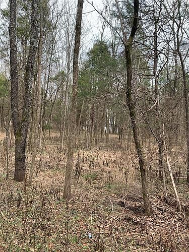 2nd image of 3471 Mount Tabor Rd
