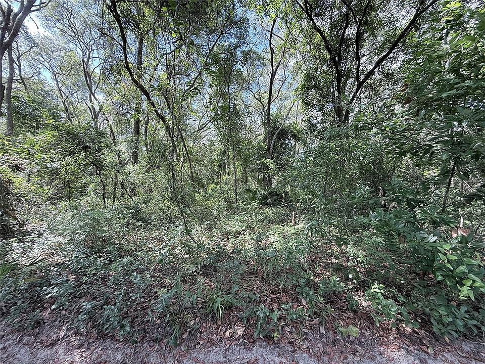 1st image of SW 150th St Lot 19