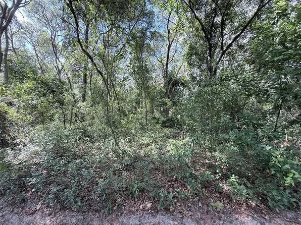 SW 150th St Lot 19, Dunnellon, FL 34432