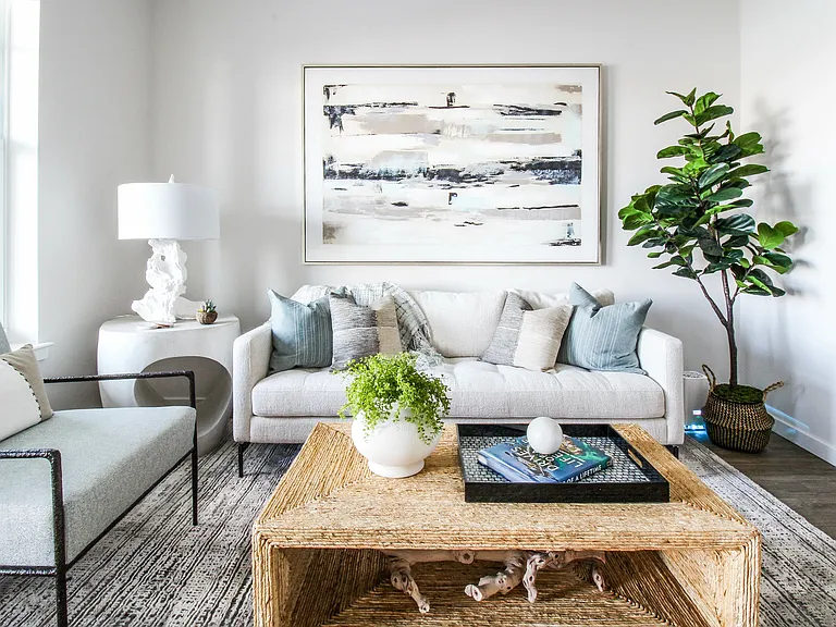 Canopy Living Room