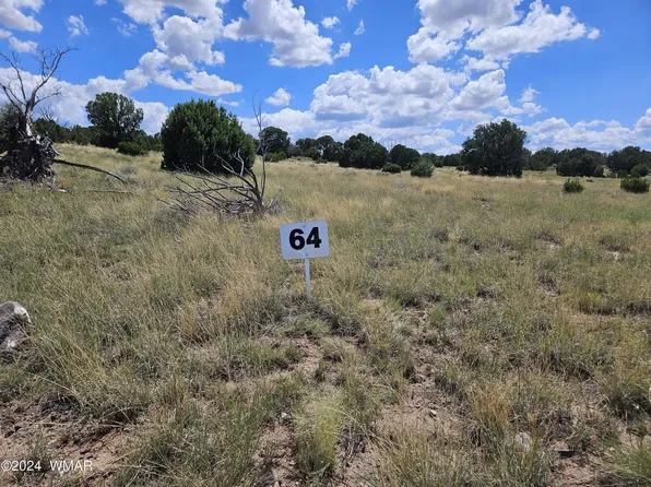 County Road 8623 Lot 64, Concho, AZ 85924