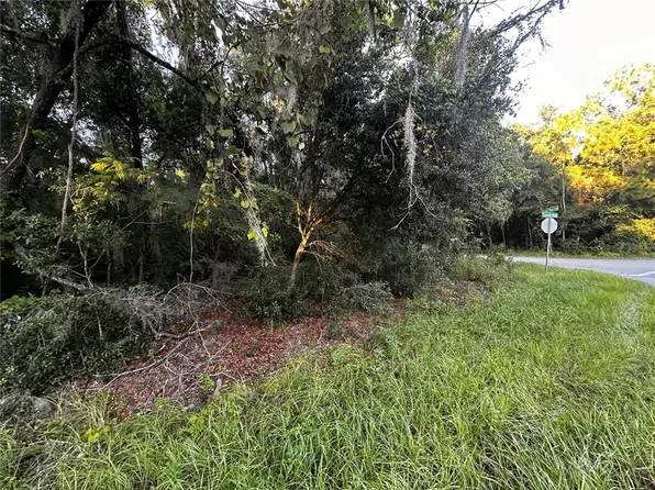 0 Locust Run Crse #19, Ocala, FL 34472