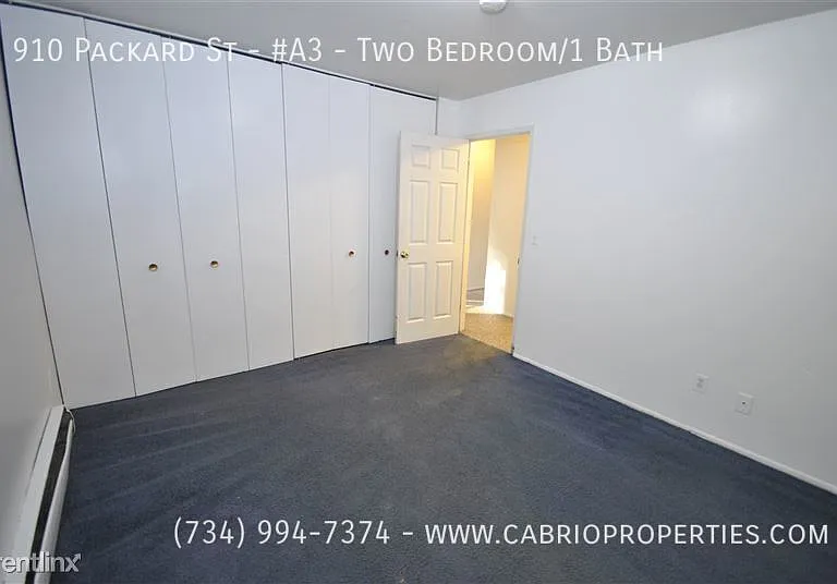 910 Packard St — Photo 21