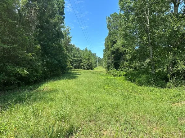 177-155 Pebble Cove Rd, Abbeville, AL 36310