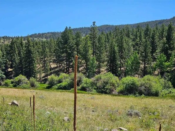 356 Church Creek Drive, South Fork, CO 81154