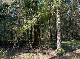 1 Lillian Ln, Ethel, LA 70730