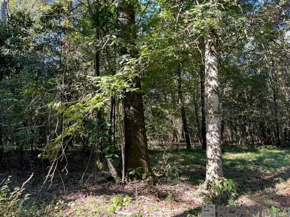 1 Lillian Ln, Ethel, LA 70730