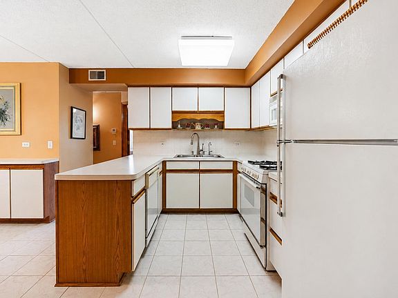 5th image of 8560 W Foster Ave Unit 202