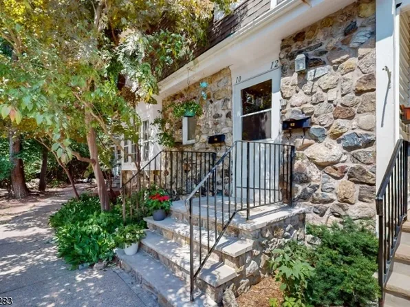 10 Yellow Billed Cuckoo, Allamuchy Twp., NJ 07840