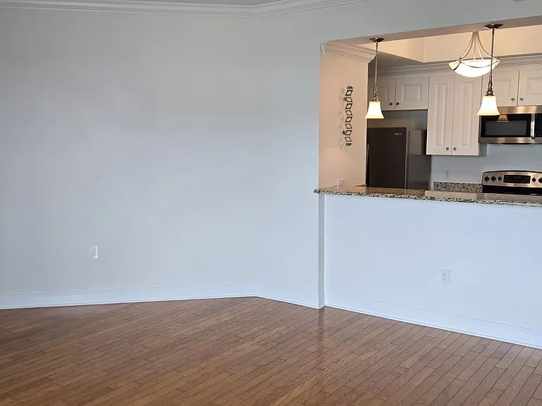 300 W 5th St #249 — Photo 5