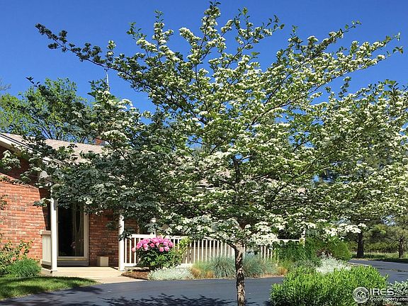 5th image of 1833 Ridgecrest Rd