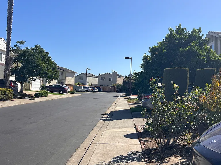 5442 Sunstar Cmn — Photo 8