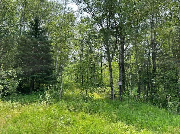 220 Street, Mc Grath, MN 56350