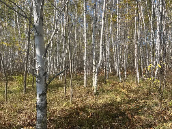 0 County Highway 61, Hinckley, MN 55037