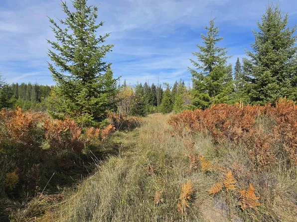 0 Timberline Hts #5, Weippe, ID 83553