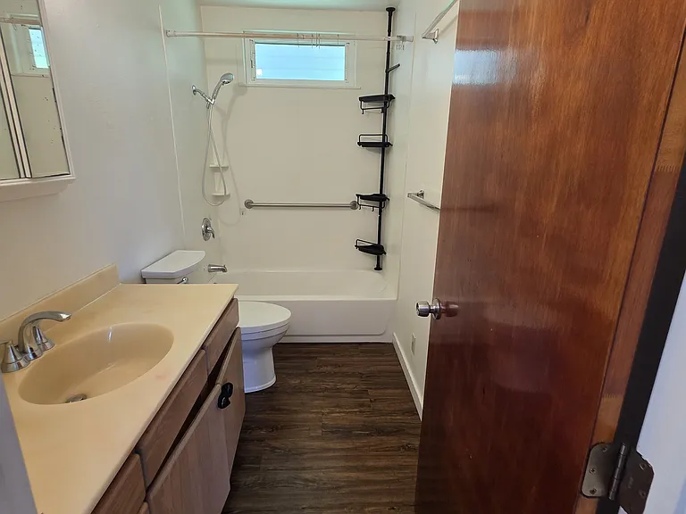 Hall bathroom