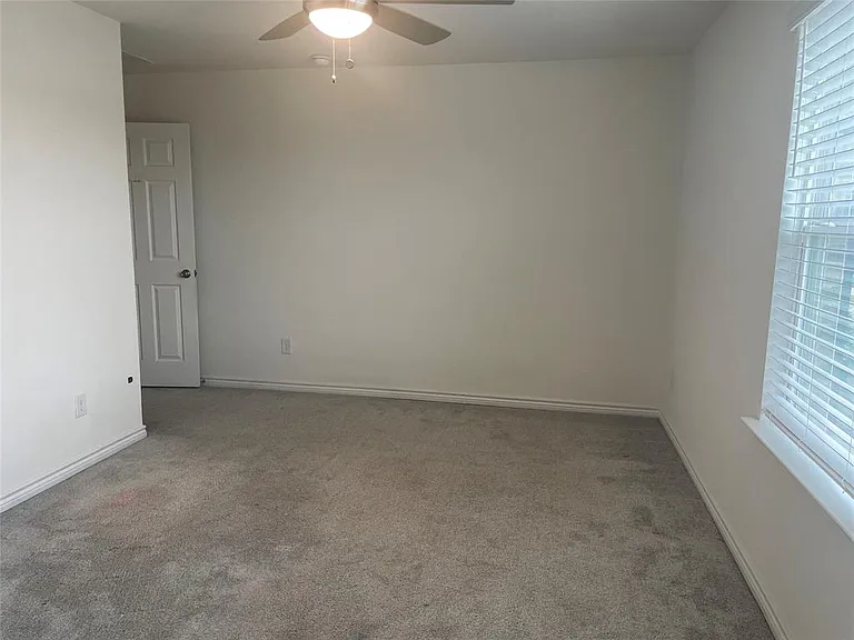 Picture 24
