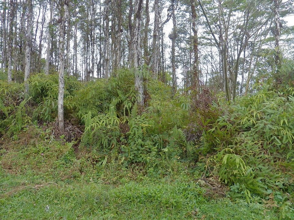 2nd image of Lanai Rd Lot 372