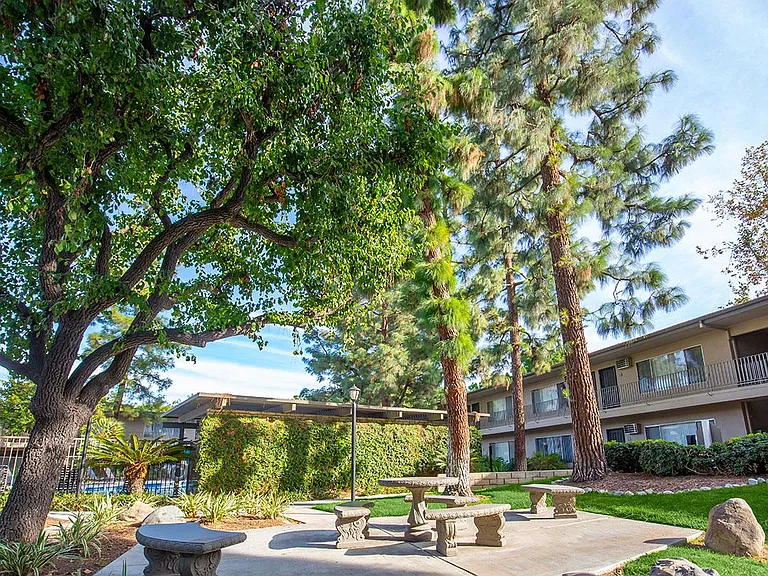 Saddleback Pines Apartment Homes — Photo 13