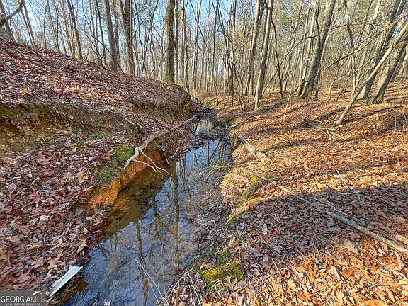 5th image of 21 / Acres