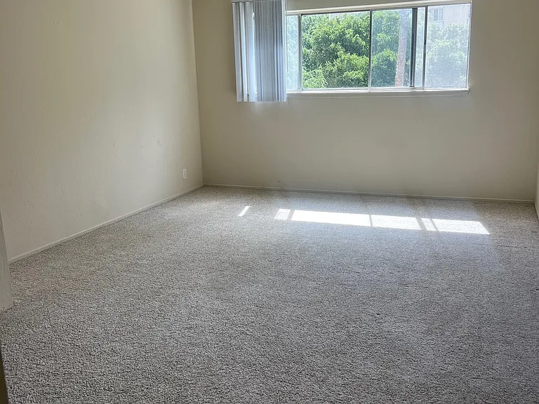 10 Mulberry Court — Photo 25