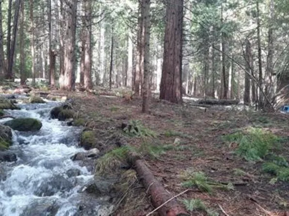 LOT 108 Fuller Dr, Weed, CA 96094