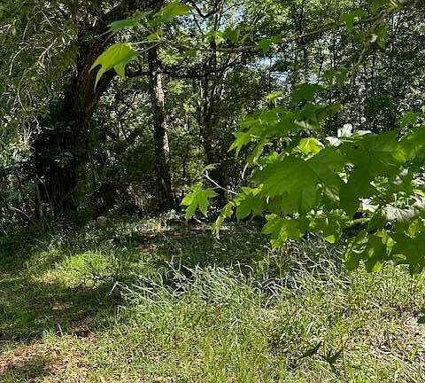 4th image of 203 Basin School Rd #B